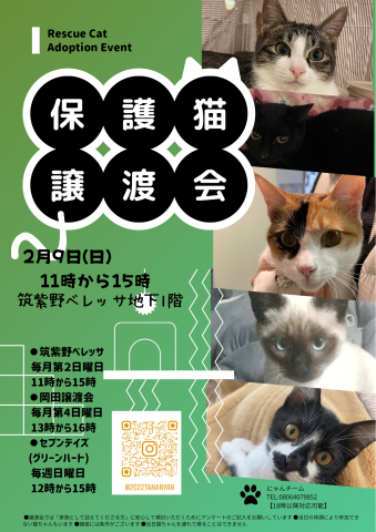 🐾筑紫野ベレッサほご猫🐱譲渡会🐾