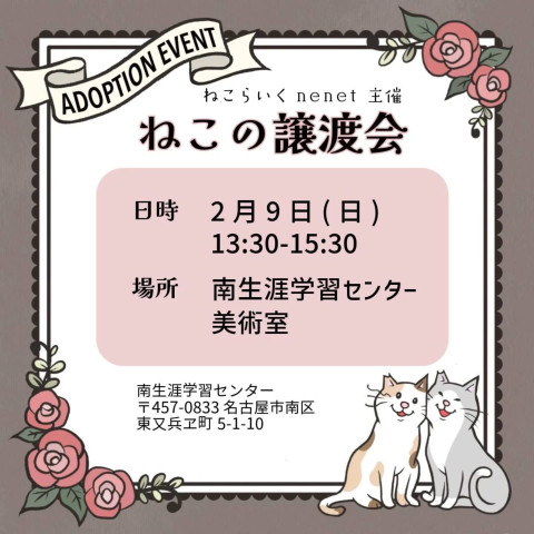 ・*:..｡o○☼*ﾟ・ほごねこ譲渡会・*:..｡o○☼*ﾟ