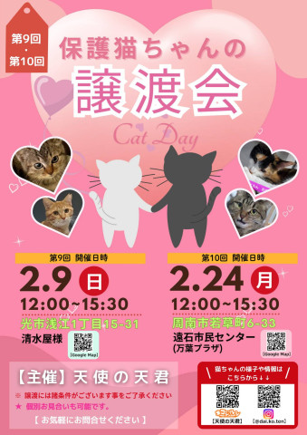 ⭐保護猫譲渡会in光市⭐