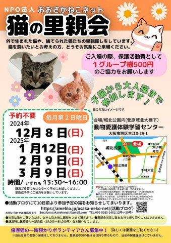 NPO法人　おおさかねこネット　猫の里親会