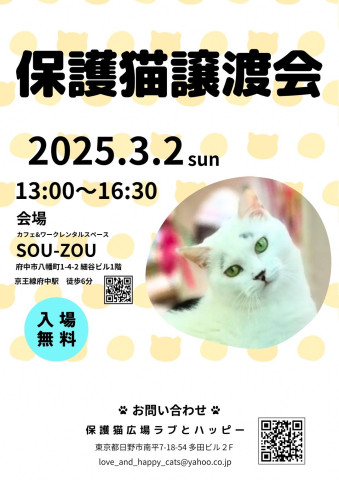 2025年3月のラブとハッピー【保護猫譲渡会】