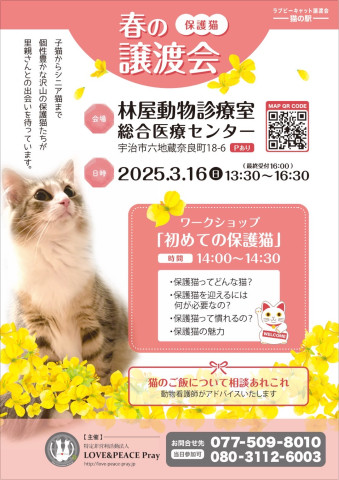 春の保護猫譲渡会(林屋動物診療室総合医療センター)