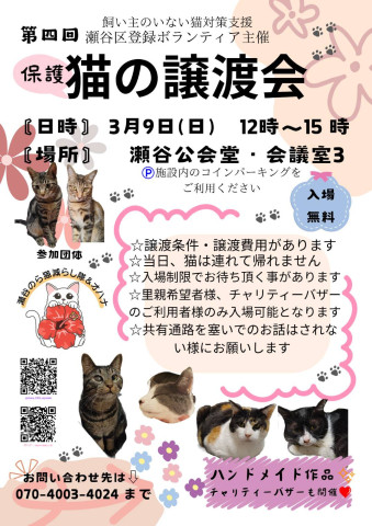 保護猫の譲渡会