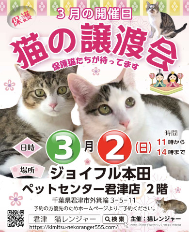 (君津市)保護猫譲渡会