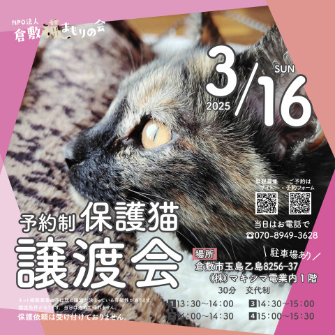 保護猫譲渡会（予約制）