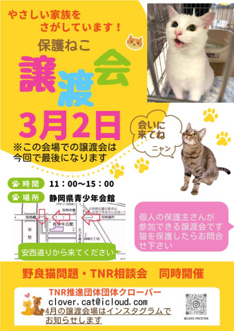 クローバー保護猫譲渡会&TNR相談会 in静岡市駿河区