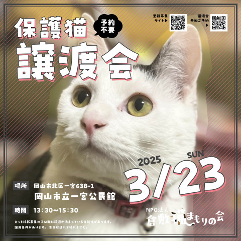 保護猫譲渡会（予約不要）