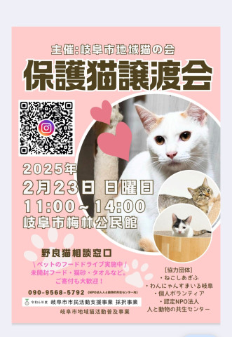 岐阜市地域猫の会  譲渡会