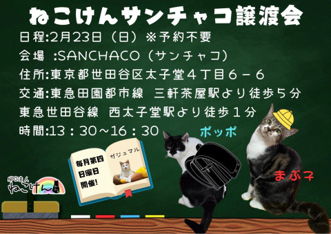 ねこけんSANCHACO譲渡会