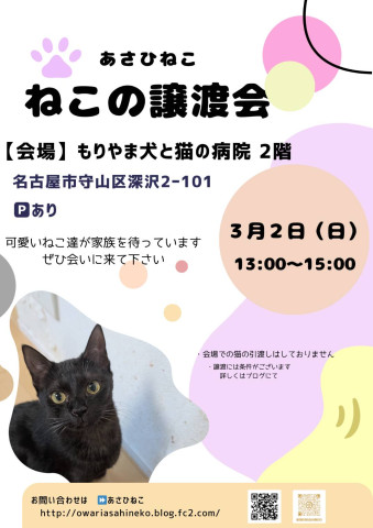 ねこの譲渡会inもりやま犬と猫の病院