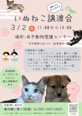 いぬねこ譲渡会