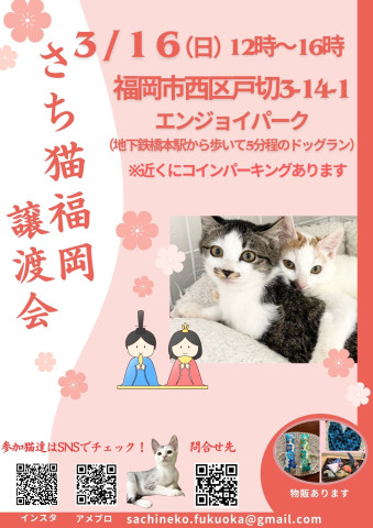 さち猫福岡譲渡会　エンジョイパーク（はっぴいすまいる）