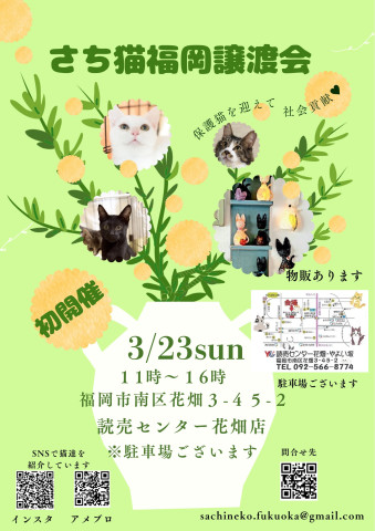 さち猫福岡譲渡会　読売センター花畑店