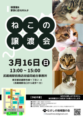 むさしの地域猫の会主催　譲渡会