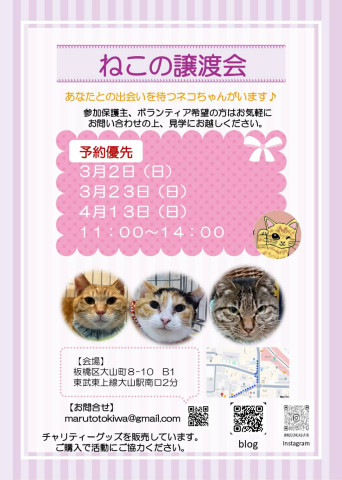 猫のあしあと　ねこの譲渡会