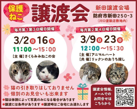 ほごねこ譲渡会