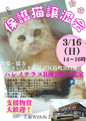 【さいたま市見沼区】3/16㈰ハレノテラス保護猫譲渡会