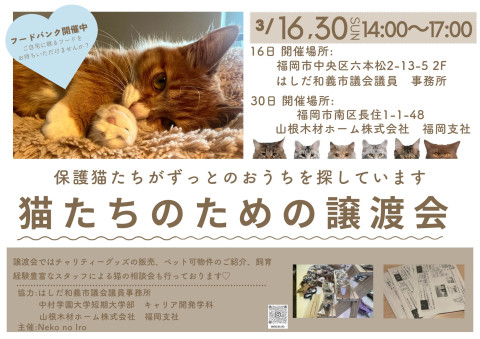 猫たちのための譲渡会