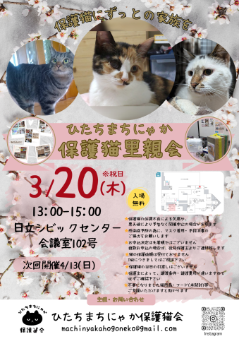 ひたちまちにゃか保護猫里親会