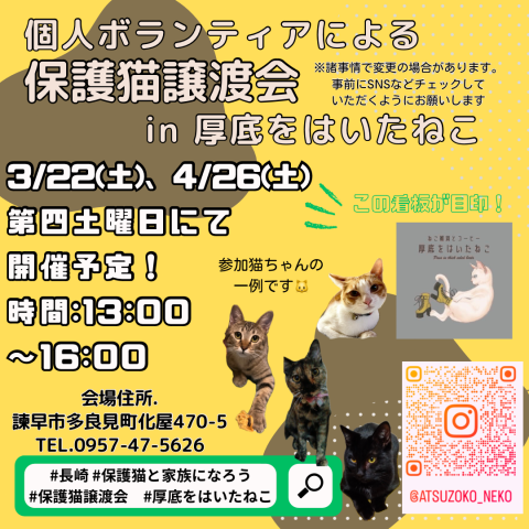 長崎の個人ボランティアの保護猫譲渡会