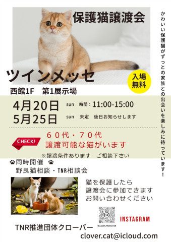 クローバー保護猫譲渡会&TNR相談会 in静岡市駿河区