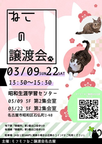 猫の譲渡会　in　名古屋市昭和生涯学習センター