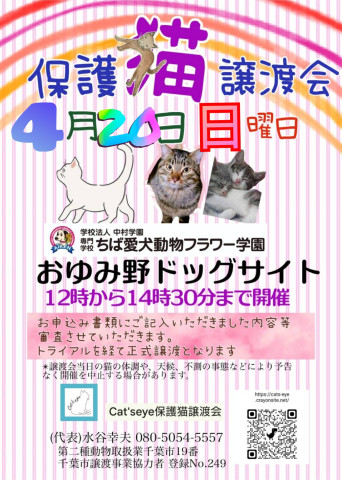 保護猫譲渡会Cat'seye