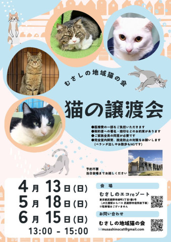 むさしの地域猫の会主催　譲渡会