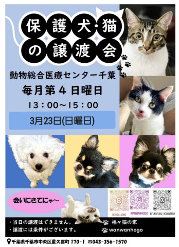 保護犬・猫の譲渡会