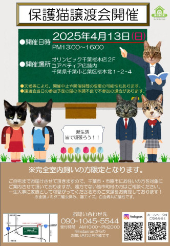 保護猫譲渡会