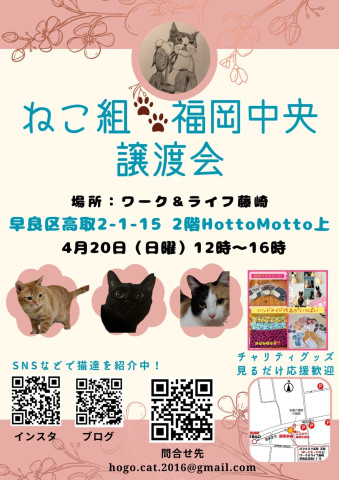 ねこ組  福岡中央譲渡会