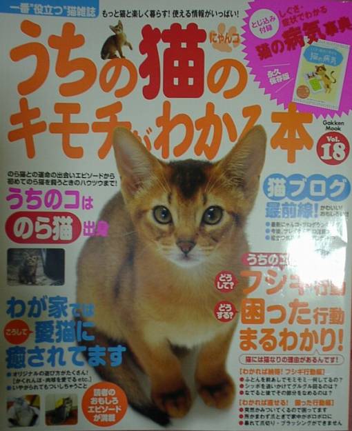 猫 飼い方 しつけ 噛み癖 ひっかき 食事中に手が ネコジルシ