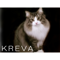 ＫＲＥＶＡ