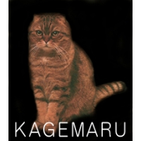 ＫＡＧＥＭＡＲＵ