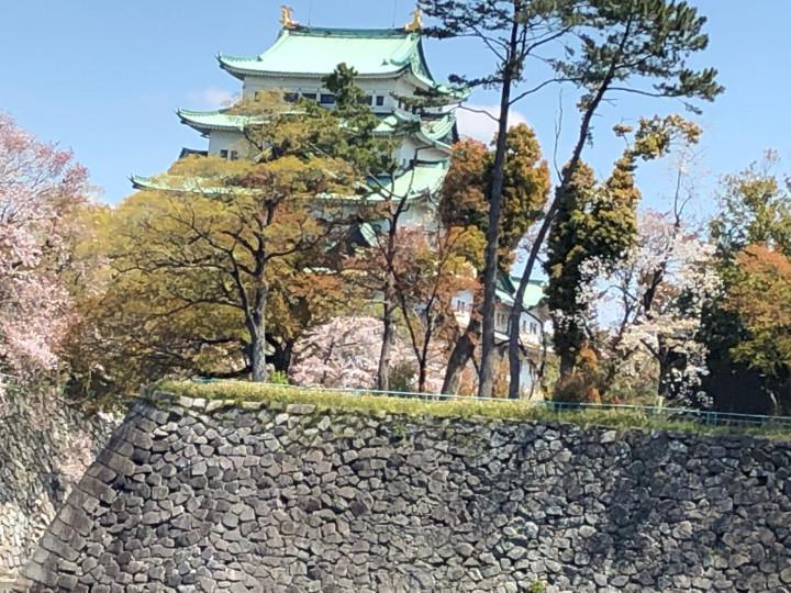 名古屋城 お堀の中の猫 茶々の母ちゃんさんの猫ブログ ネコジルシ