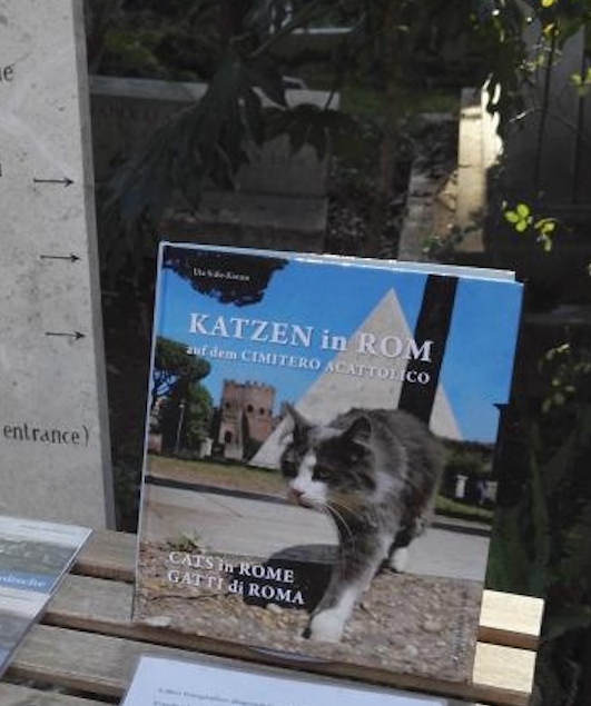 ローマは1日にしてならず ローマの猫 Gattinaさんの猫ブログ ネコジルシ