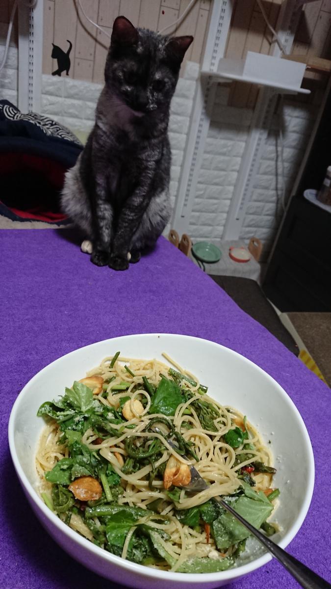 厨房男子 またまたパスタ 金太先生さんの猫ブログ ネコジルシ