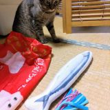 吉川美代子さんの飼い猫ゲンさんに寄せて Genchiさんの猫ブログ ネコジルシ