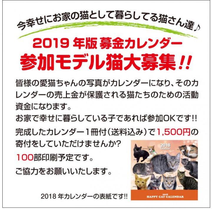 19年募金カレンダーのモデル猫さんを募集中 今年は黒猫版も くーまさんの猫ブログ ネコジルシ