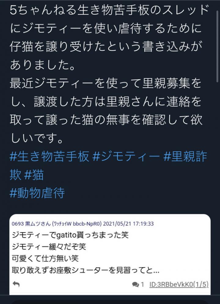 ジモティの虐待事件で気が滅入った事（愚痴） - Ayano.sさんの猫ブログ 