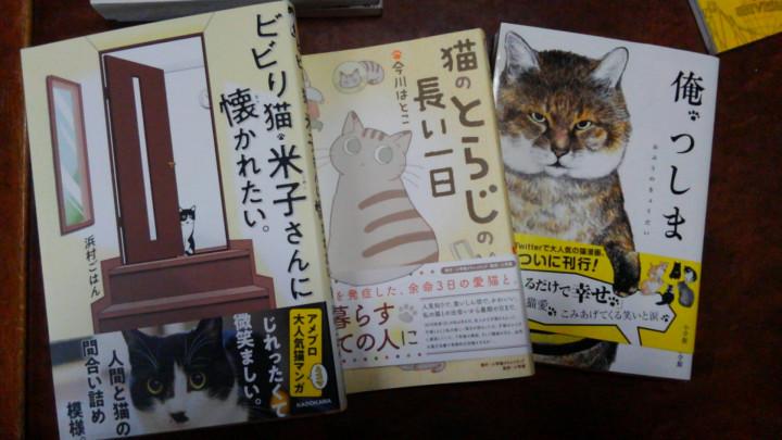 お おかえり と猫漫画色々 みゆと猫 Sのママさんの猫ブログ ネコジルシ