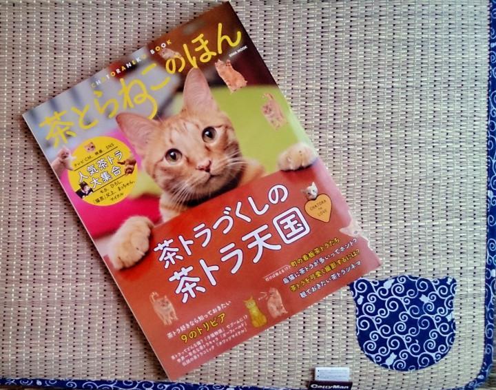 茶とらねこのほん とうちの茶トラ猫 Mikimaruさんの猫ブログ ネコジルシ