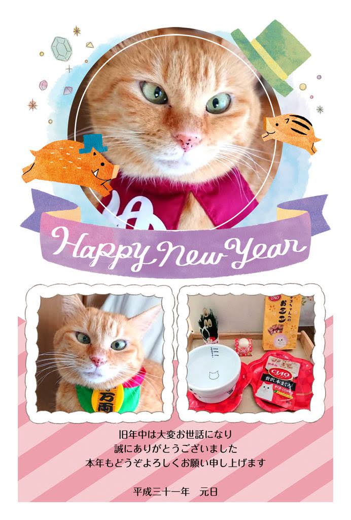 新年のご挨拶 Mikimaruさんの猫ブログ ネコジルシ