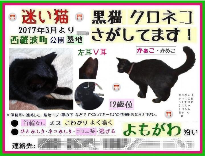 尼崎市 西難波町 黒猫 メス 迷子 迷い猫 マグマリさんの猫ブログ ネコジルシ