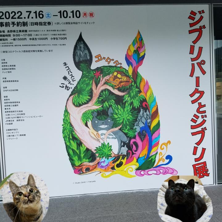 うにくる ジブリパークとジブリ展へゆく ひでのらさんの猫ブログ ネコジルシ