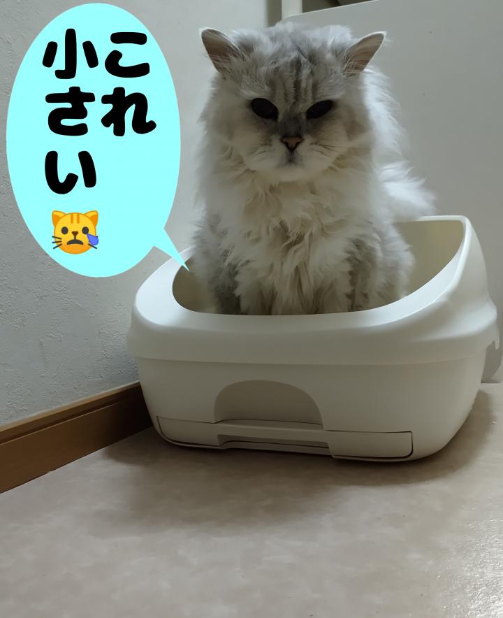 最近のシステムトイレは小さい 旧型が好き しゅらこまさんの猫ブログ ネコジルシ