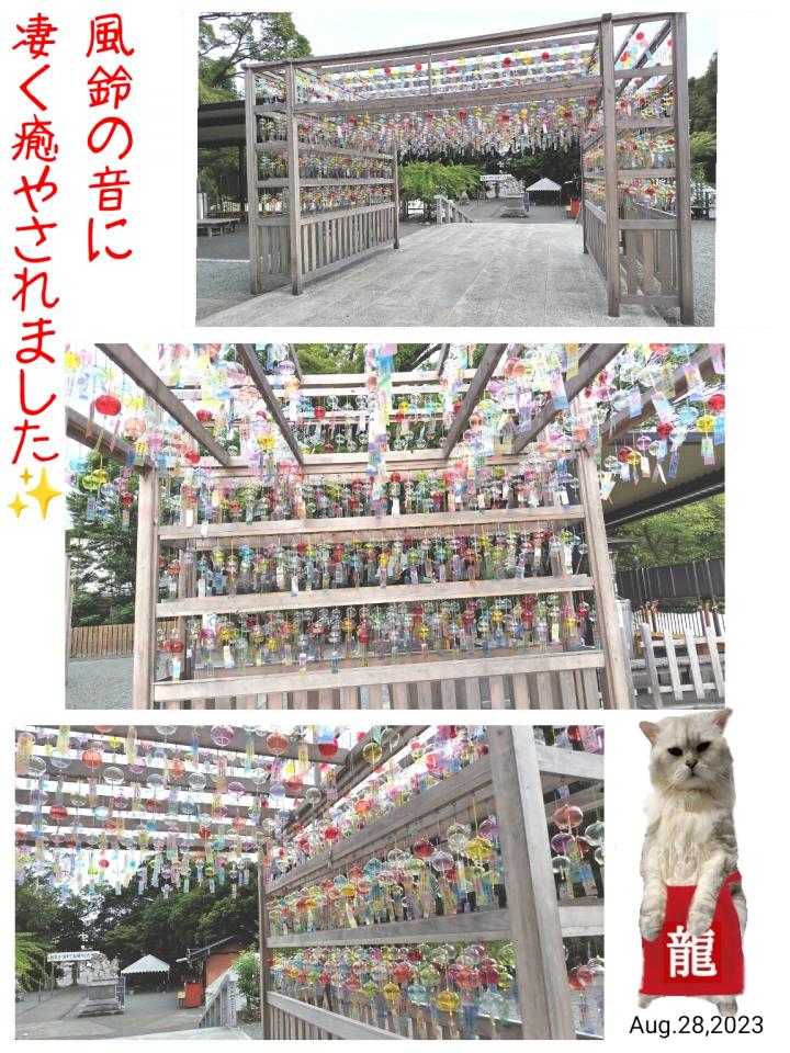 御朱印旅②😽〜富知六所浅間神社②〜 - しゅらこまさんの猫日記