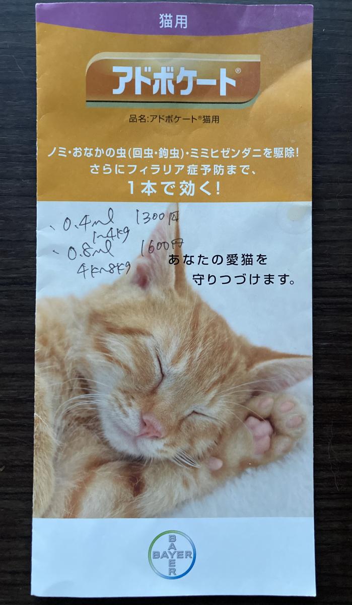 ぼん、あられ - ま めさんの猫ブログ - ネコジルシ