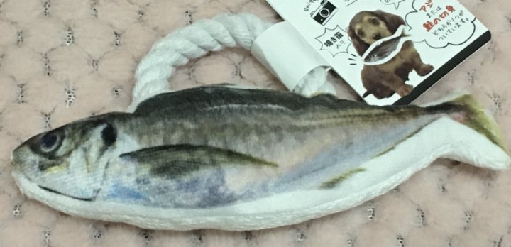 販売 ダイソー ペット 用品 魚