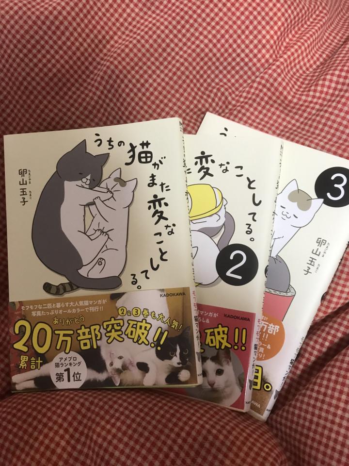 ネコ漫画は面白い 断捨離は難しい W かしすさんの猫ブログ ネコジルシ